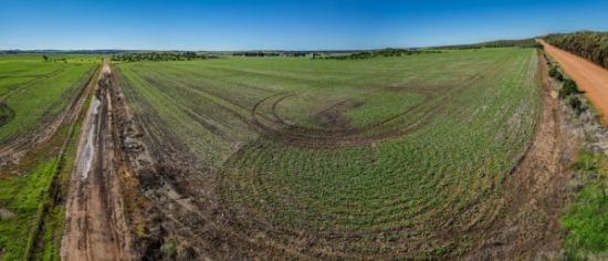 31 Company Road, Greenough, WA 6532