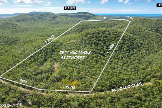 333 Avocado Crescent, Captain Creek, Qld 4677