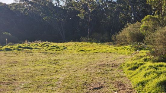 35 Galidan Avenue, Oakdale, NSW 2570