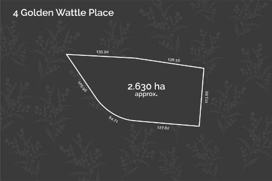 4 Golden Wattle Place, Kilmore, Vic 3764