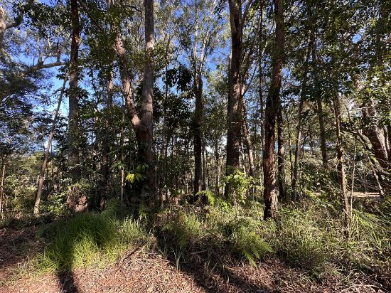 50 Dempsey Street, Russell Island, Qld 4184