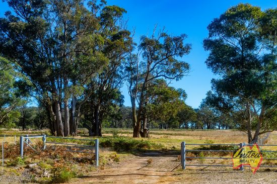 633A Hanging Rock Road, Paddys River, NSW 2577