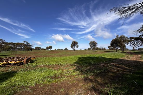 88 Cuballing Street, Cuballing, WA 6311