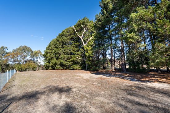 99 Whittakers Lane, Riddells Creek, Vic 3431