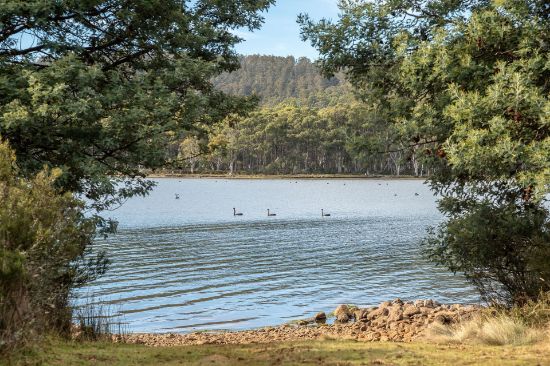 Lot 1 & 2, 172 Woodwards Bay Road, Bradys Lake, Tas 7140
