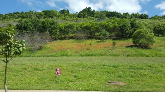 Lot 11 Aroona Street, Red Peak Forest Estate, Caravonica, Qld 4878