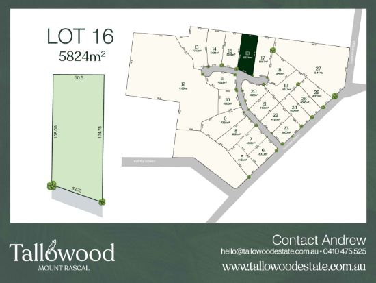Lot 16, Monthaven Street, Mount Rascal, Qld 4350