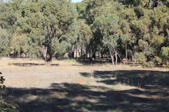 Lot 57,  579 Dinsdale Road, Wooroloo, WA 6558
