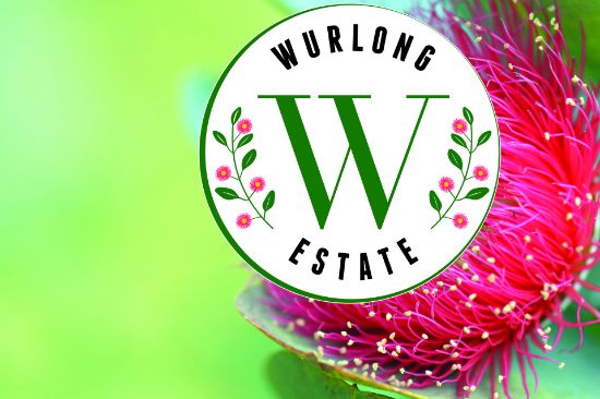 Lot 6, Wurlong Drive, Gol Gol, NSW 2738