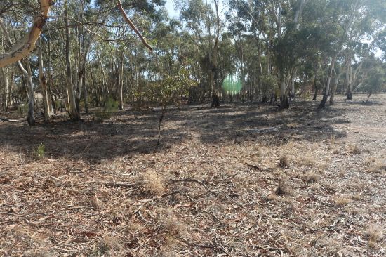 Old Boort Road, Wedderburn, Vic 3518