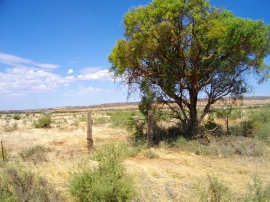 Section 122 McConville Road, Quorn, SA 5433