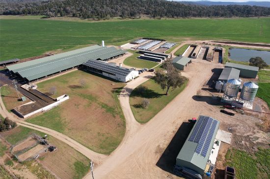 Silvermere Holsteins 2159 Forbes Road, Cowra, NSW 2794