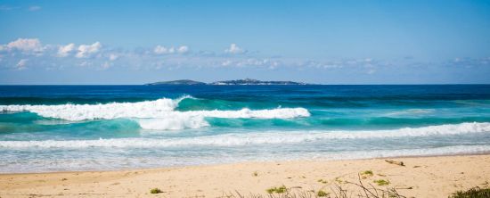 Whale Coast Realty - Narooma  - Real Estate Agency