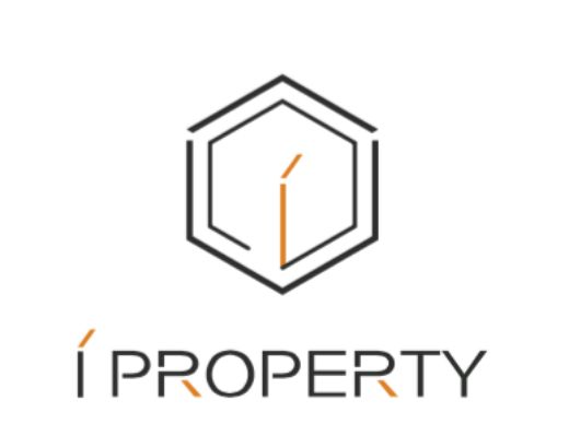 Spring Liu - Real Estate Agent at I Property Realty - TOOWONG
