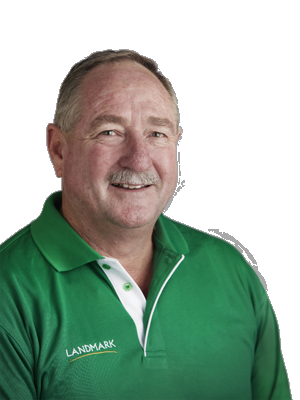 Steve Wright - Real Estate Agent