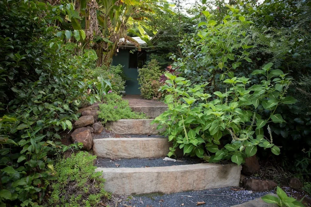 557B Tuntable Falls Road, Nimbin, NSW 2480