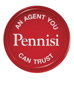 Team Pennisi Real Estate Agent