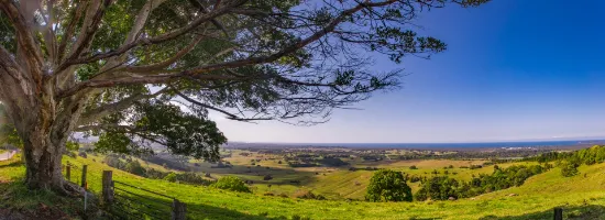 Tim Miller Real Estate - BANGALOW - Real Estate Agency