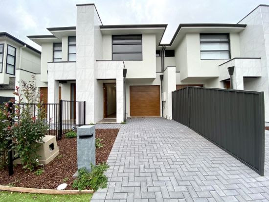 11 Paul Street, Hectorville, SA 5073