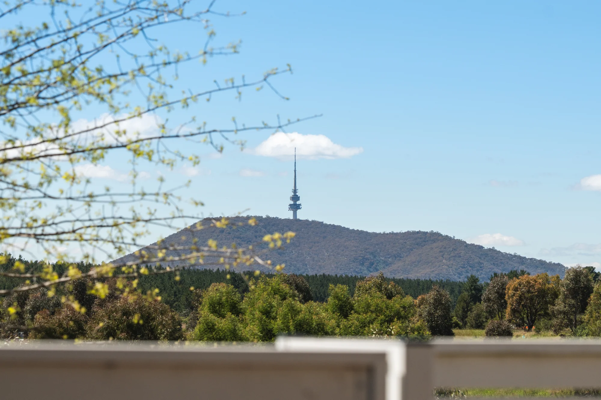 5/41 Pearlman Street, Coombs, ACT 2611