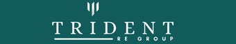 Real Estate Agency Trident RE Group - Developer