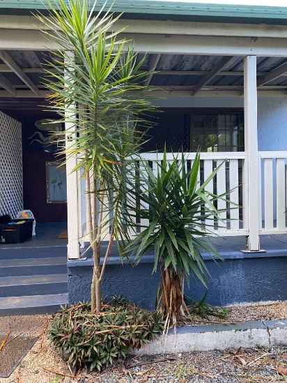 1/33 Conley St, Clontarf, Qld 4019