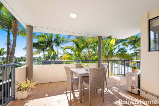 11/182 Carmody Road, St Lucia, Qld 4067