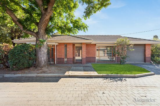 11/3 Hammond Street, Clarence Park, SA 5034