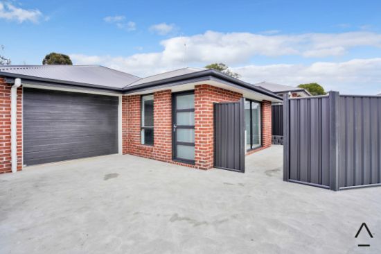 2/10 Herring Street, Punchbowl, Tas 7249