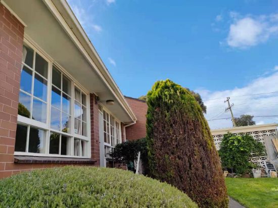 2/254 Waverley Road, Mount Waverley, Vic 3149