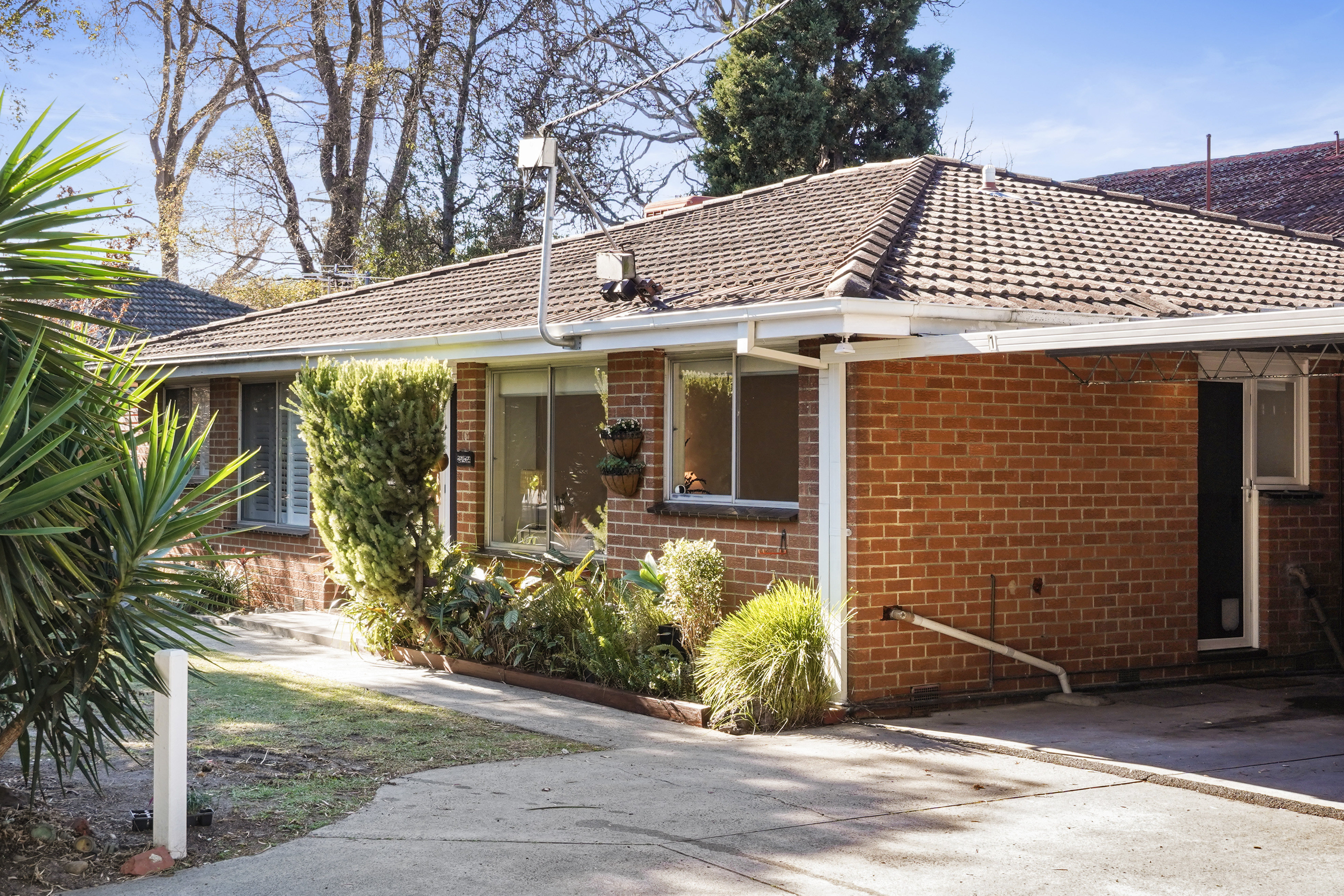 2/34 Olive Grove, Parkdale, Vic 3195 2/34 Olive Grove, Parkdale, Vic 3195