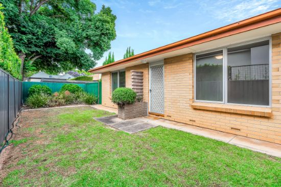 3/205 Fisher Street, Malvern, SA 5061