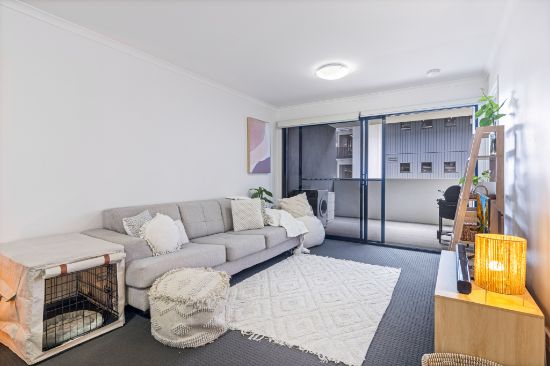 6  High Street, Sippy Downs, Qld 4556