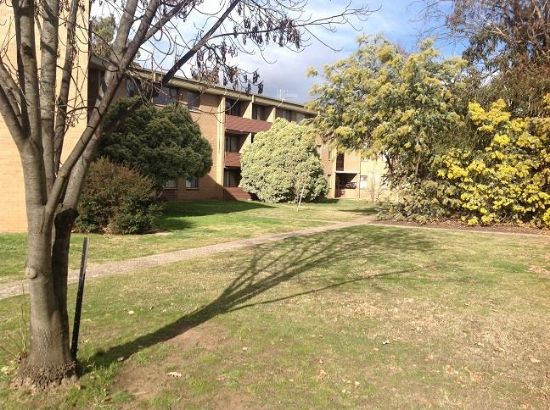 68/58 Wattle Street, Lyneham, ACT 2602
