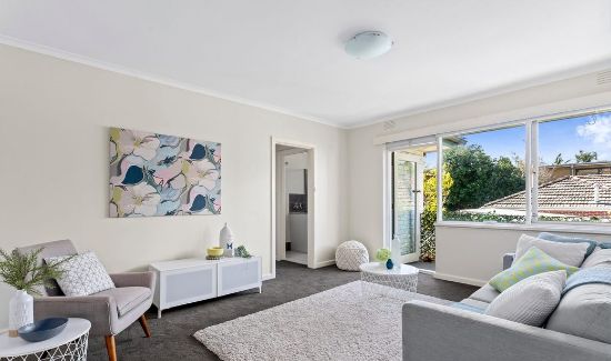 7/1529 Malvern Road, Glen Iris, Vic 3146