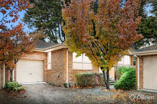 8/14 Branch Road, Bayswater North, Vic 3153