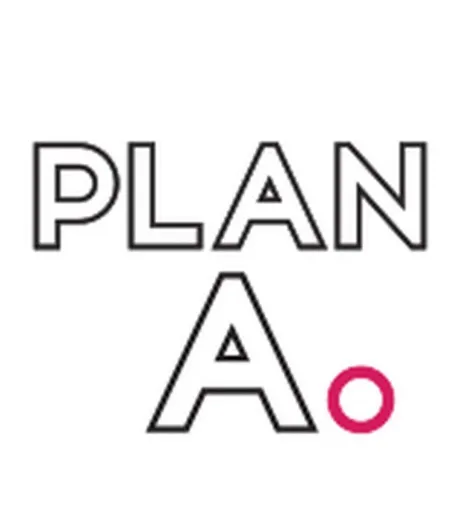 The A Team - Real Estate Agent at PLAN A PROPERTY GROUP