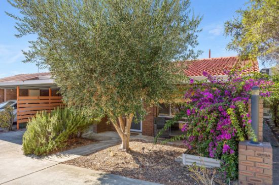 8/5 Haig Street, Tuart Hill, WA 6060