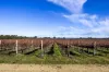 1140 Langkoop Road, Koppamurra, SA 5271-Image