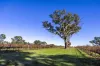 1140 Langkoop Road, Koppamurra, SA 5271-Image