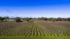 1140 Langkoop Road, Koppamurra, SA 5271-Image
