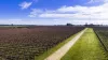1140 Langkoop Road, Koppamurra, SA 5271-Image