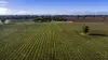 1140 Langkoop Road, Koppamurra, SA 5271-Image