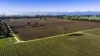 1140 Langkoop Road, Koppamurra, SA 5271-Image