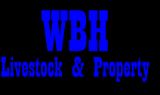 Warren Holzwart  - Real Estate Agent From - Belyando Livestock & Property Pty Ltd - Alpha