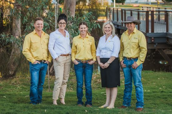 Ray White Rural - Dalby - Real Estate Agency