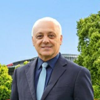 Peter Tannous - Real Estate Agent