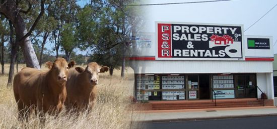 Property Sales & Rentals - Chinchilla - Real Estate Agency