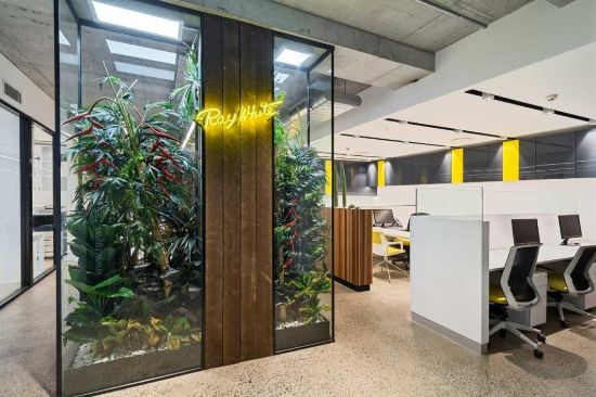 Ray White - Erskineville | Alexandria | Glebe | Surry Hills - Real Estate Agency