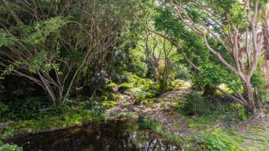 RARE OPPORTUNITY – BUILD YOUR DREAM HOME ON FLAT DOONAN ACREAGE